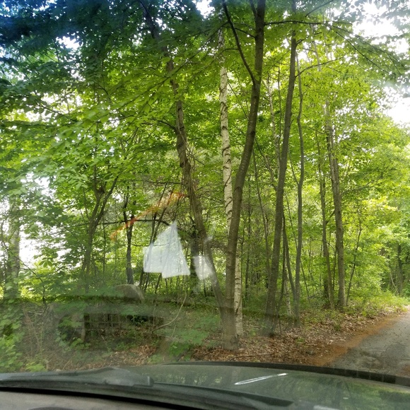 Meet your Posher, Scott - Picture 1 of 1